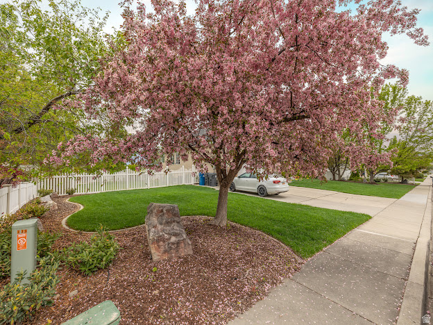 main property photo 58