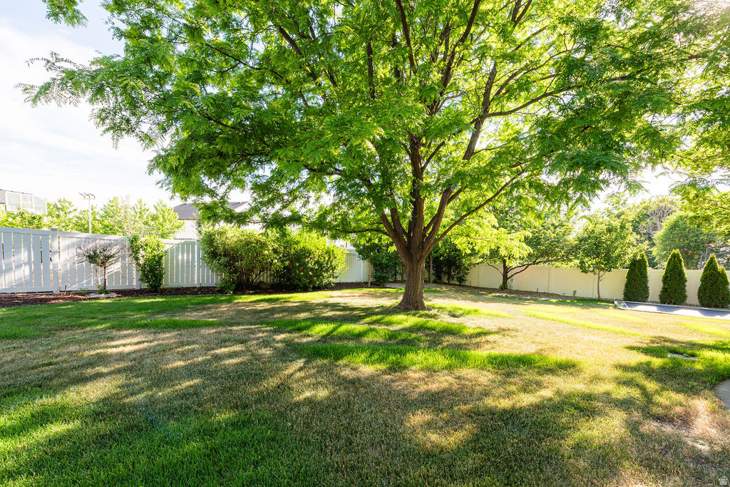 main property photo 66