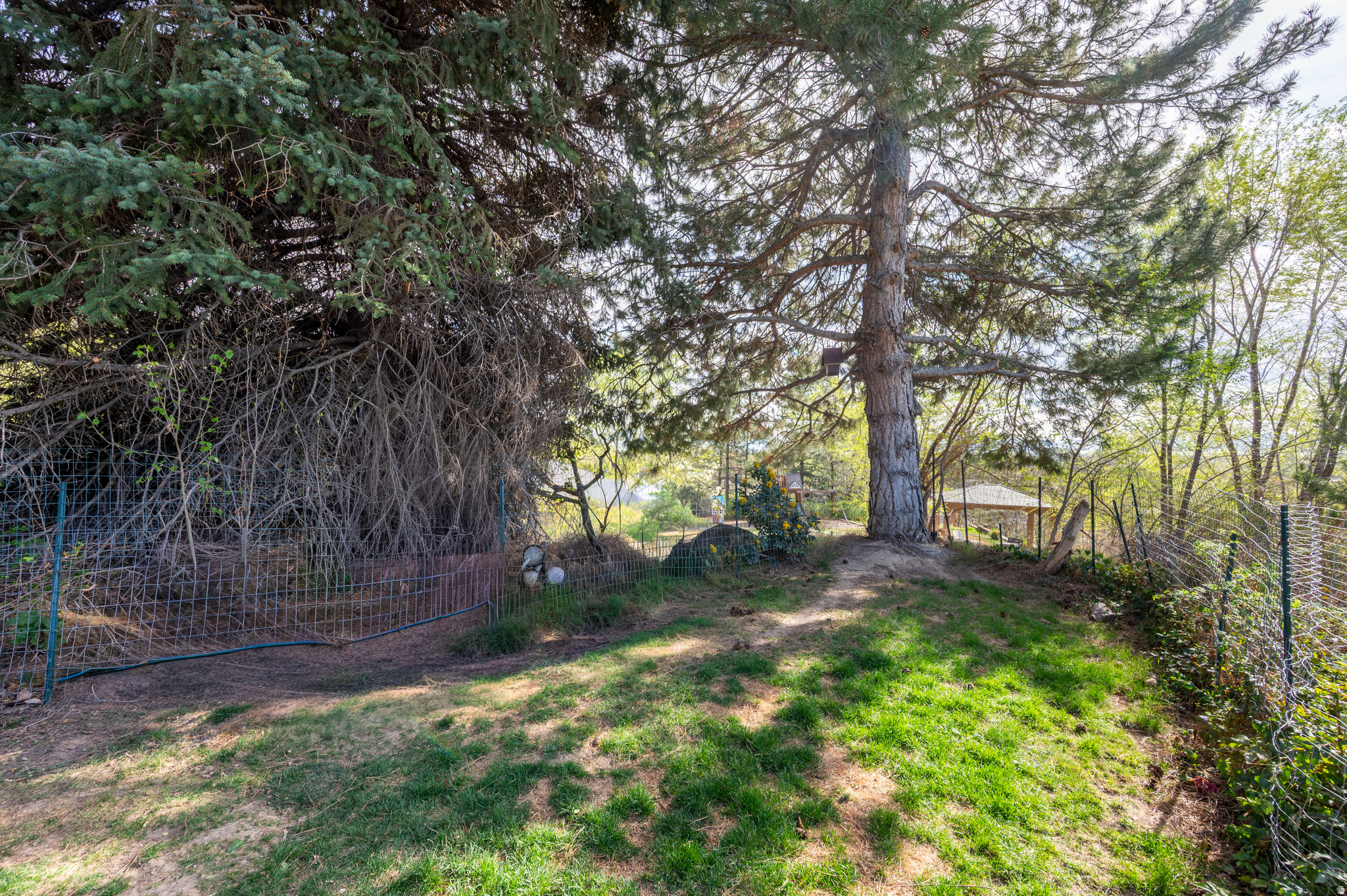 main property photo 49
