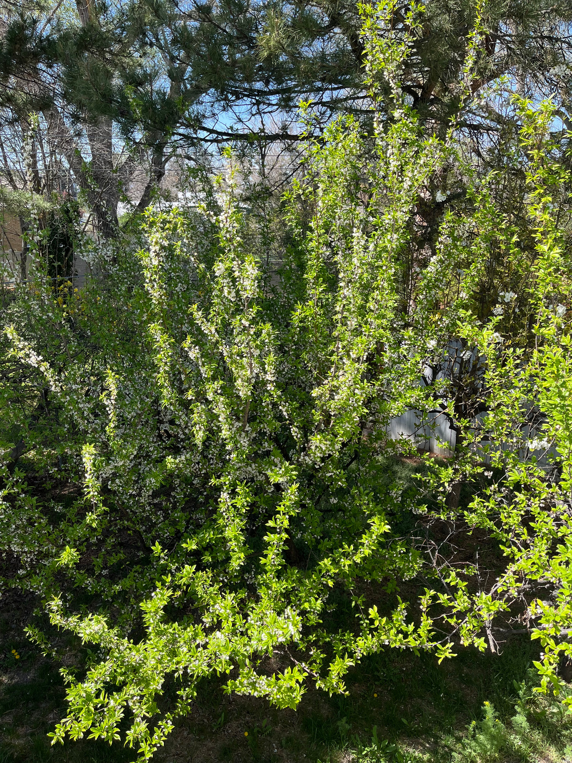 main property photo 31
