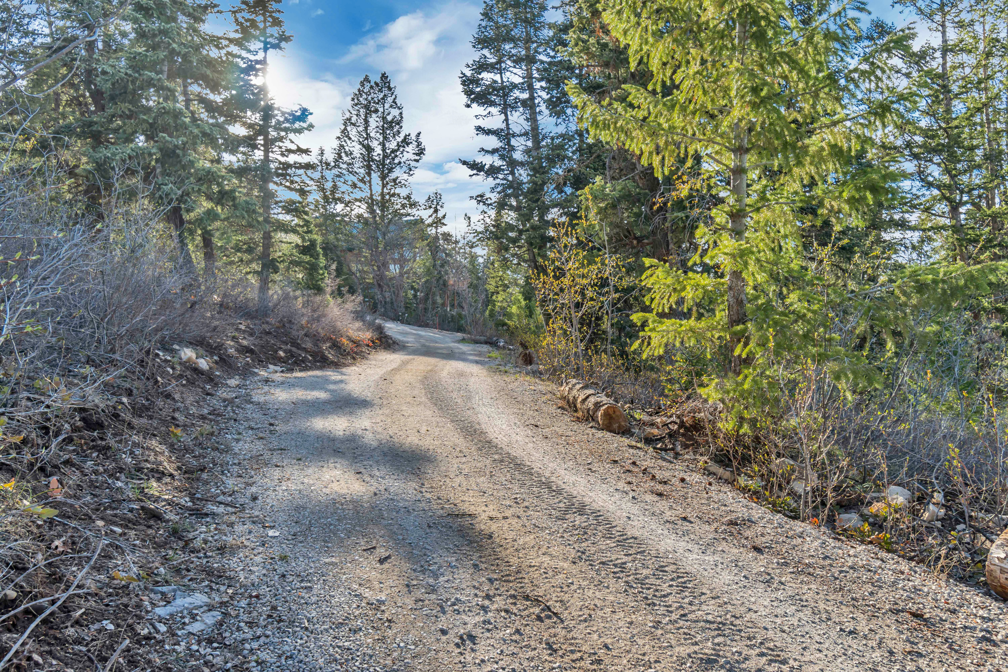 main property photo 77