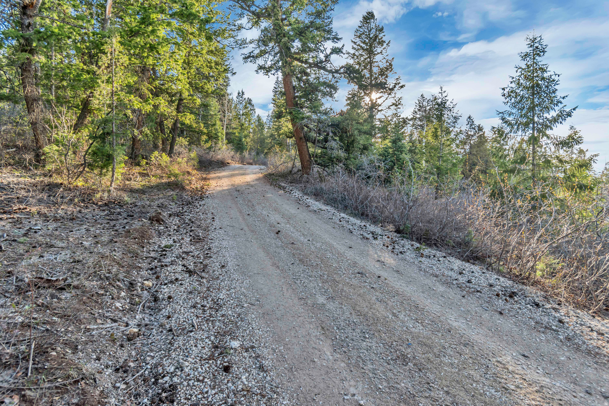 main property photo 78