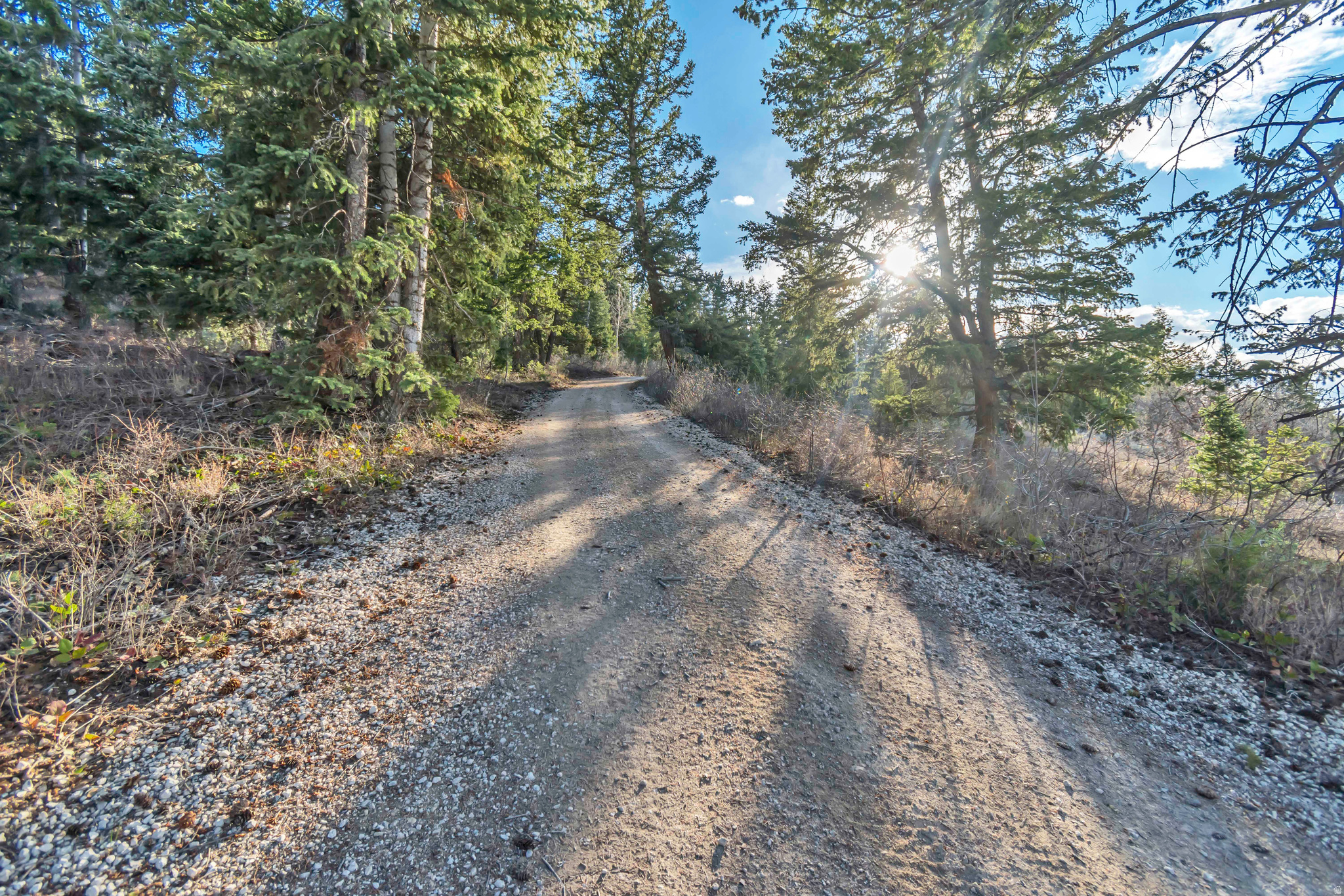 main property photo 79