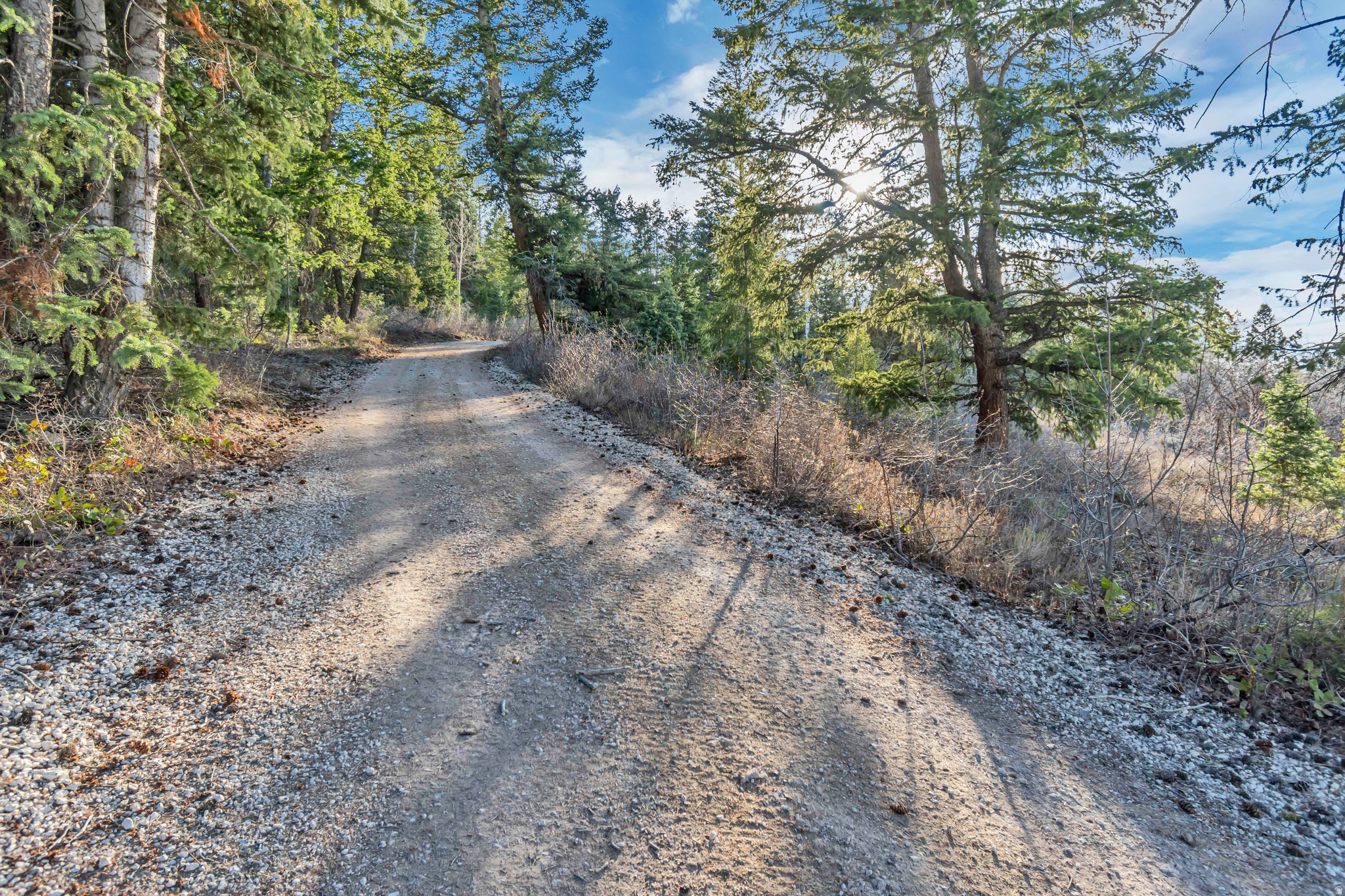 main property photo 80