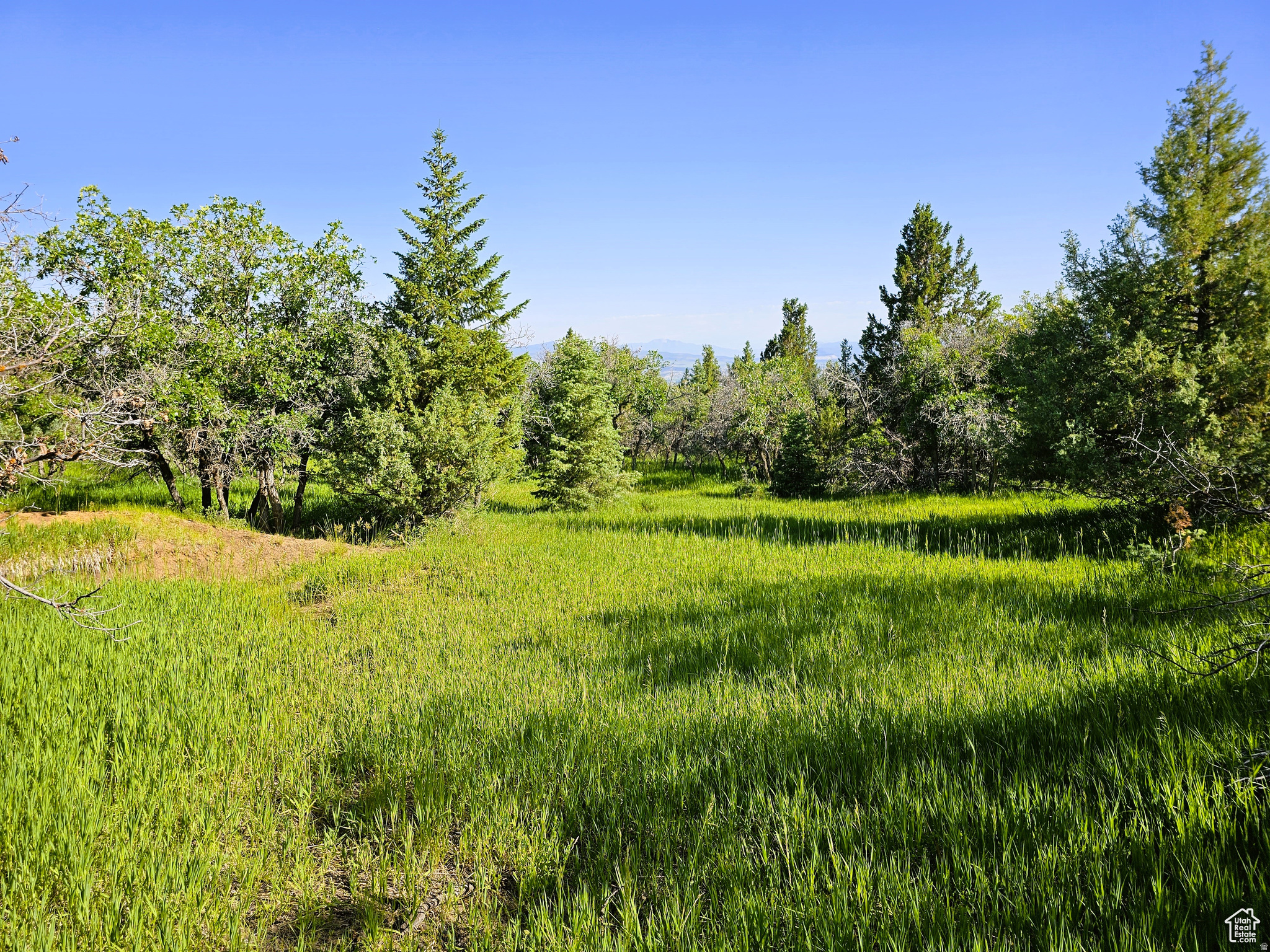 main property photo 0