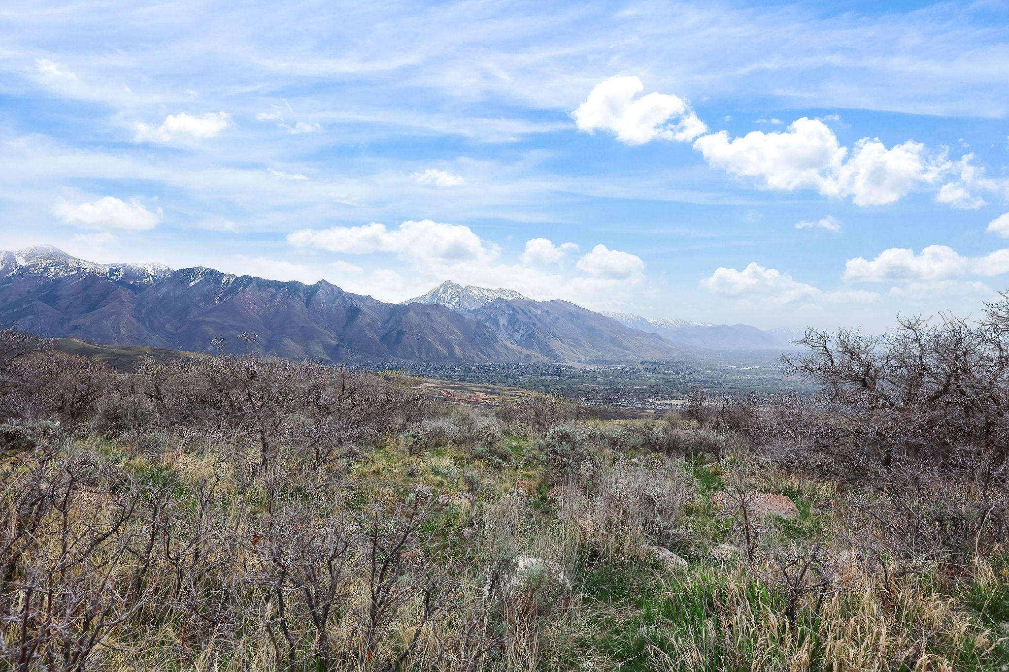 main property photo 45