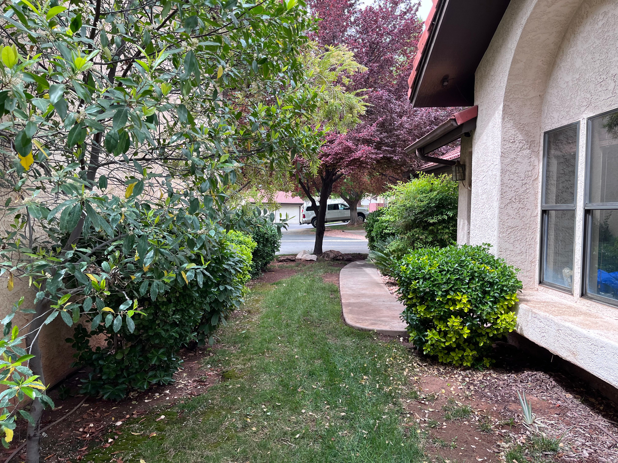 main property photo 49
