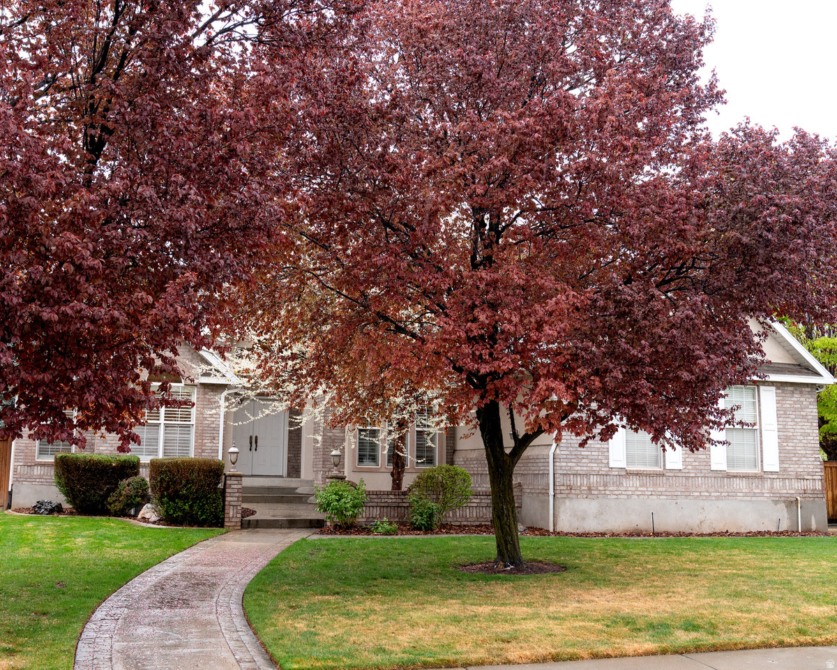 main property photo 54