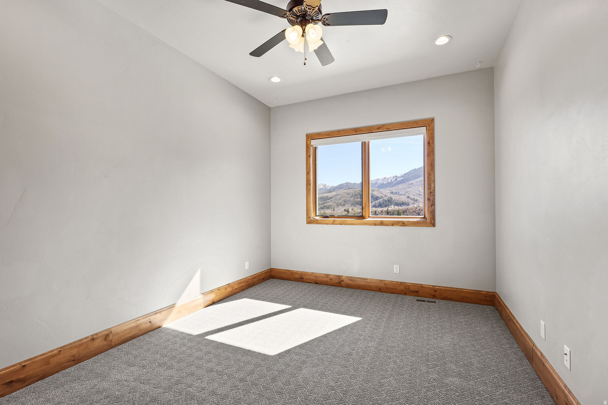 main property photo 80