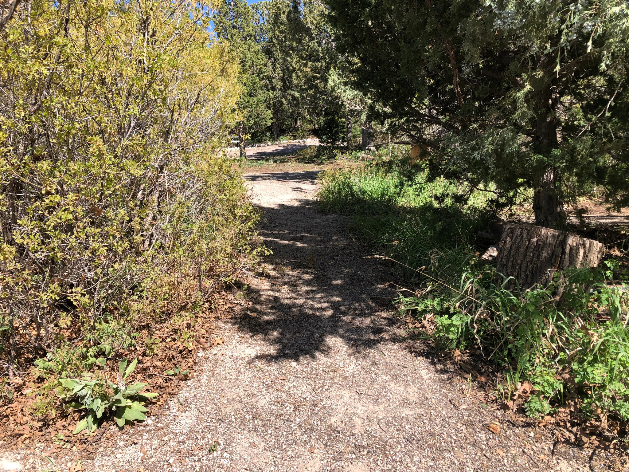 main property photo 11