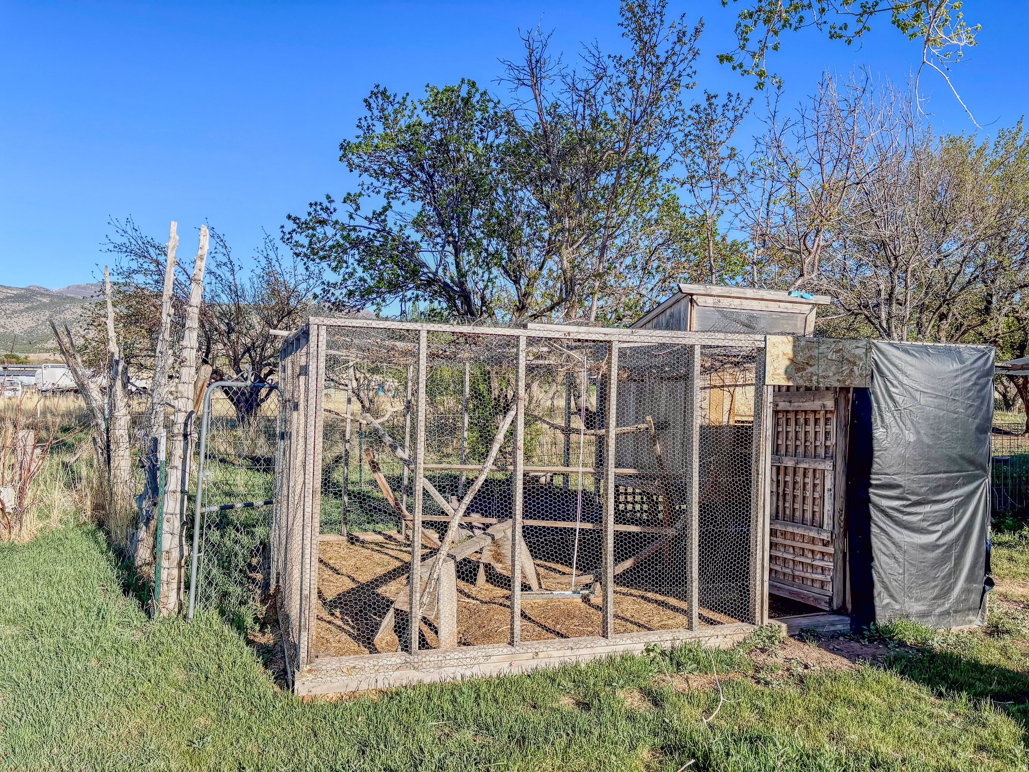 main property photo 16