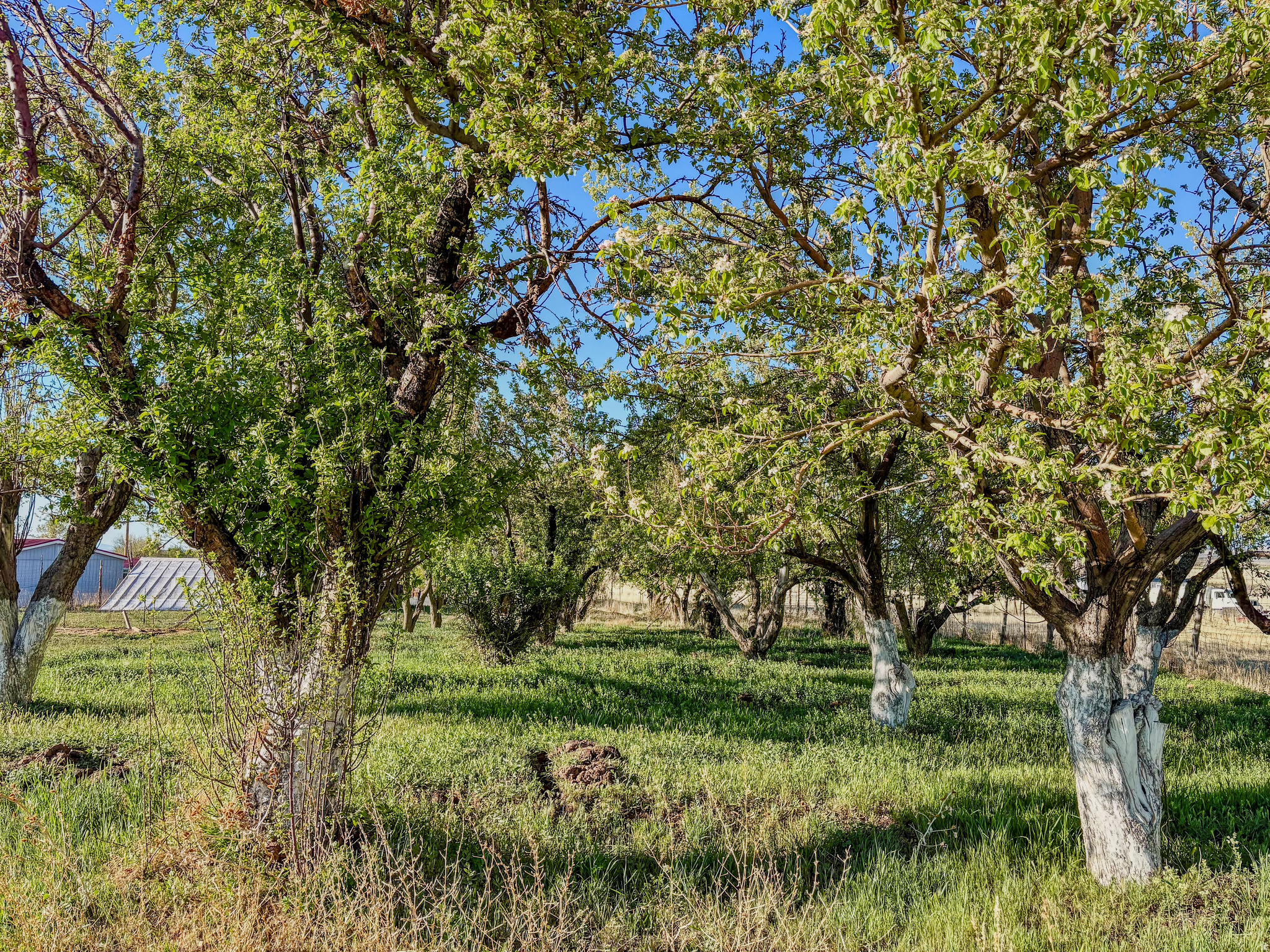 main property photo 18