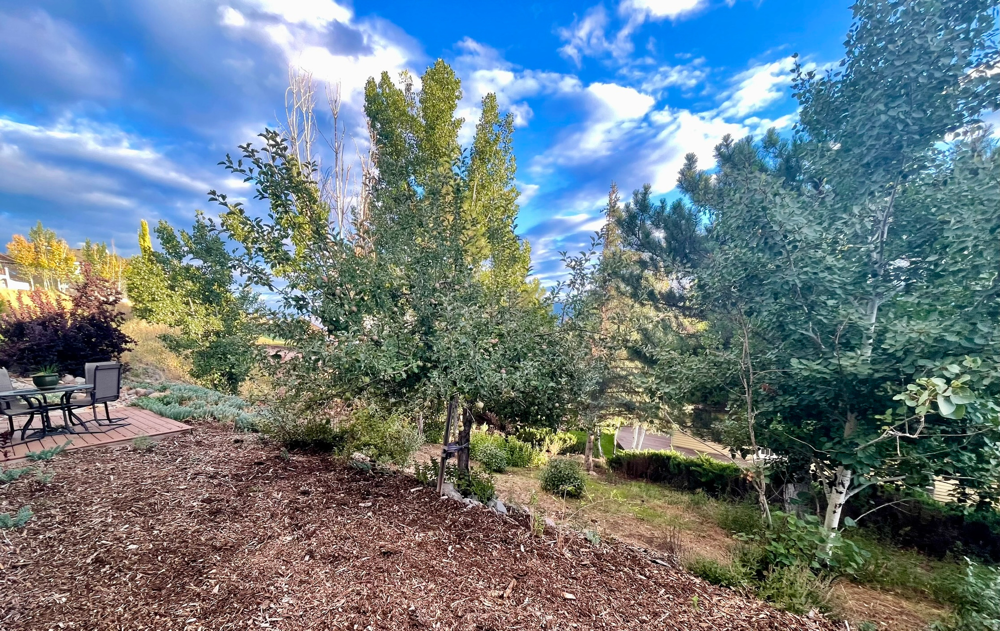 main property photo 29