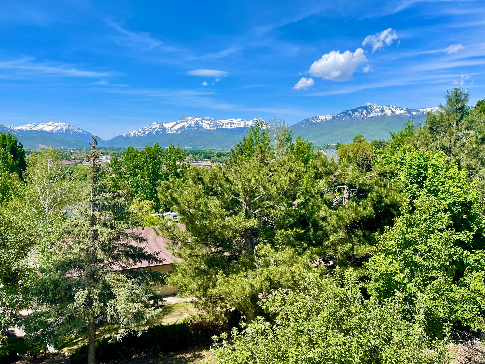 main property photo 38