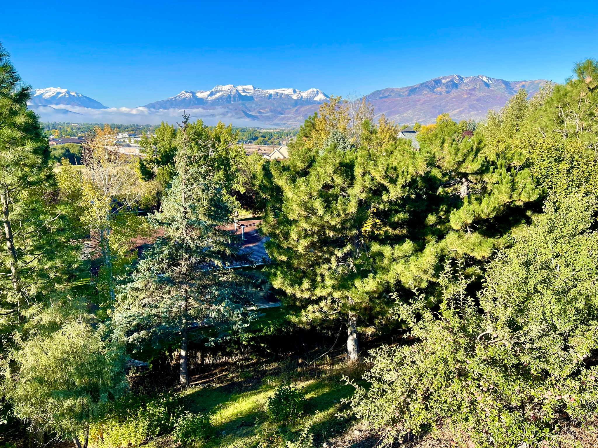 main property photo 39
