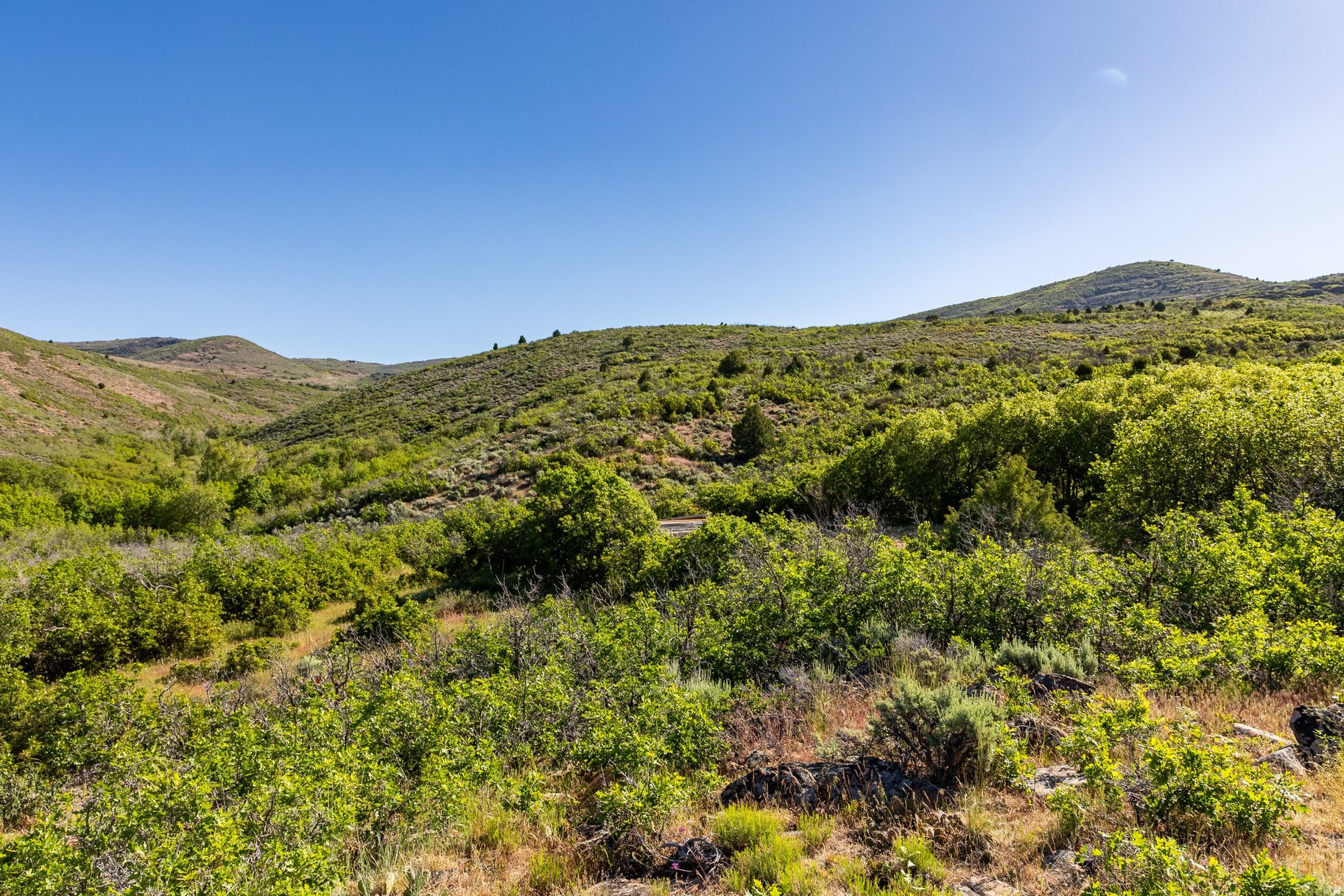 main property photo 65