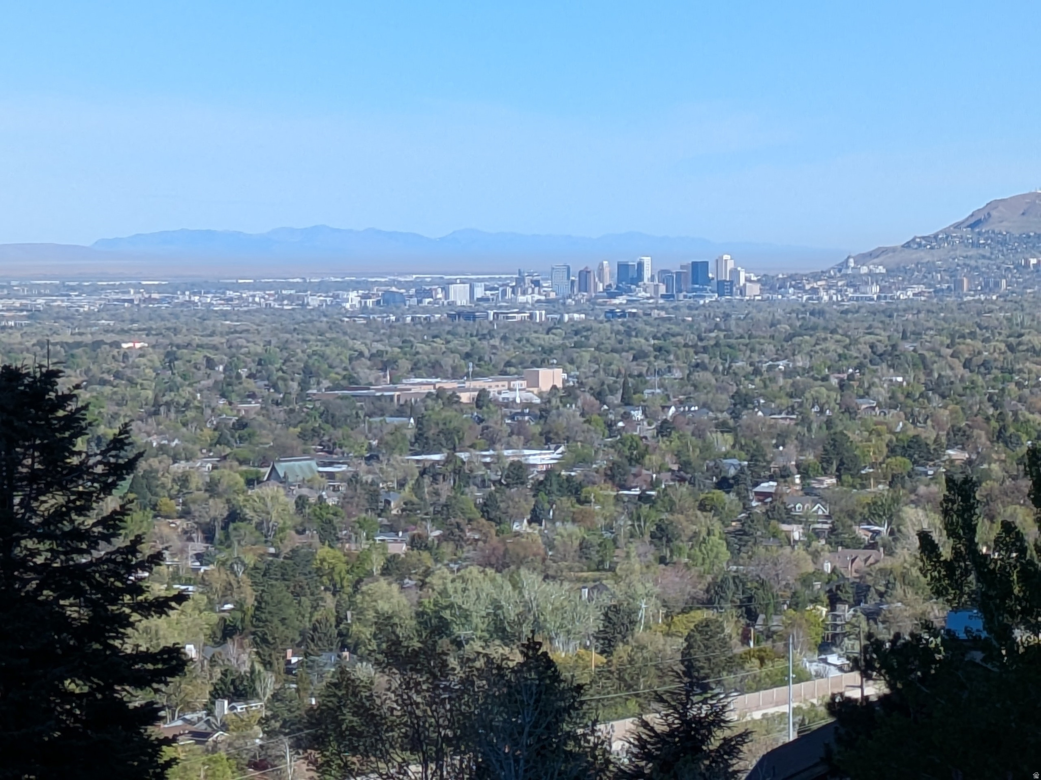 main property photo 39
