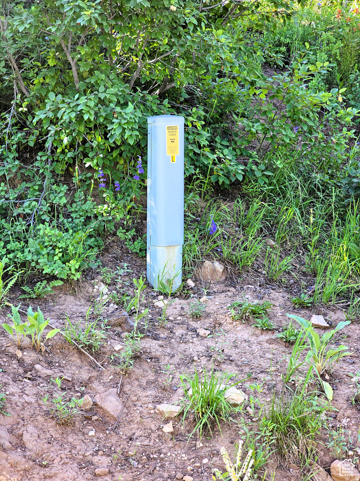 main property photo 11