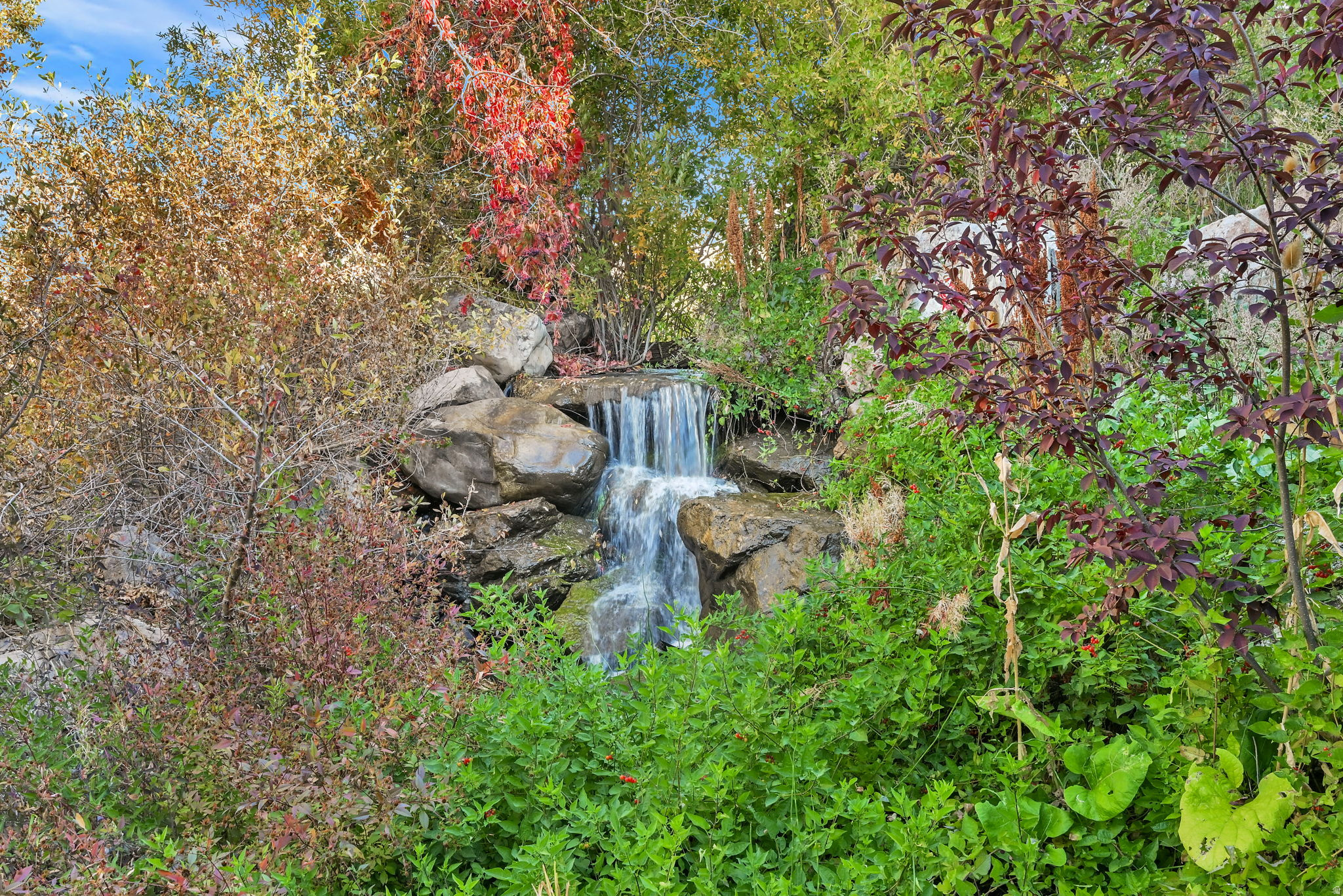 main property photo 22