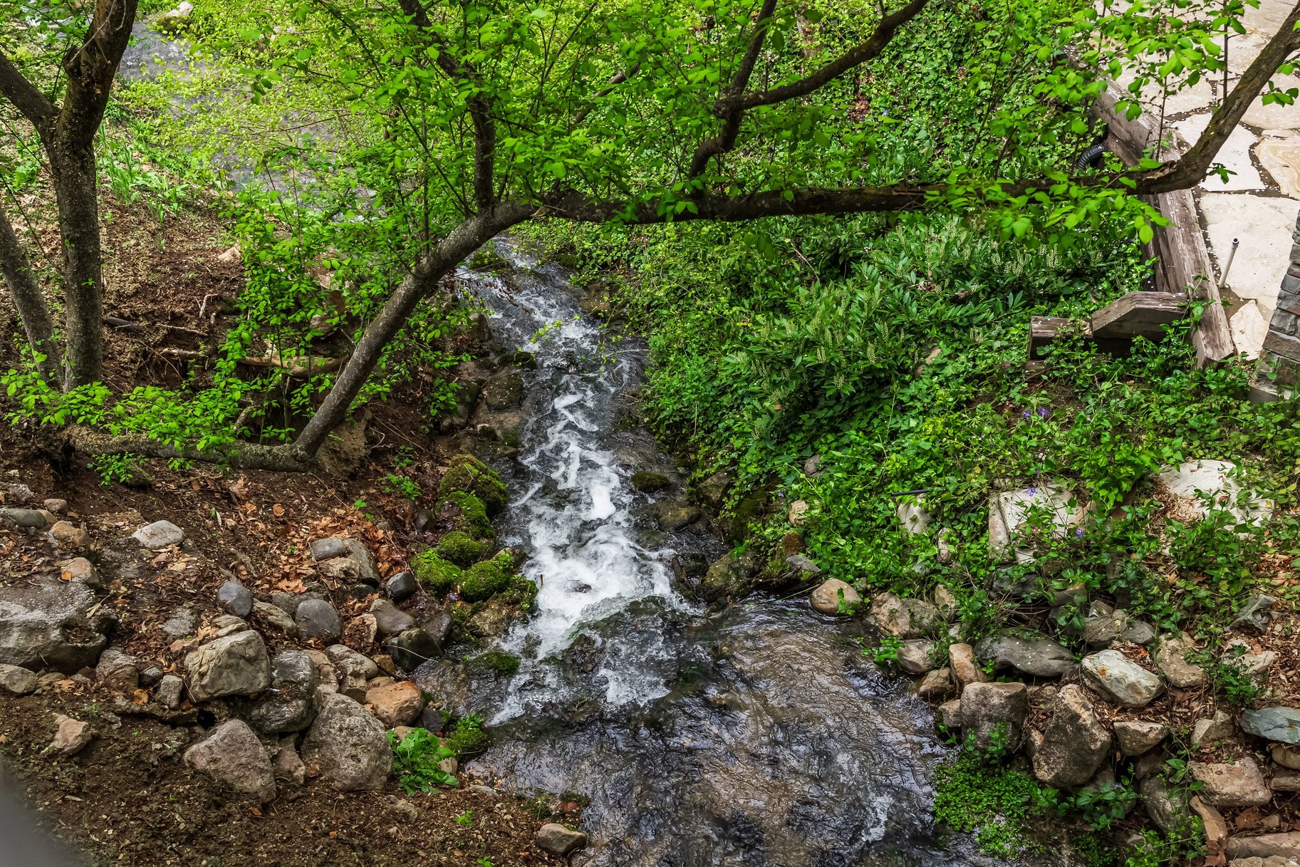 main property photo 59
