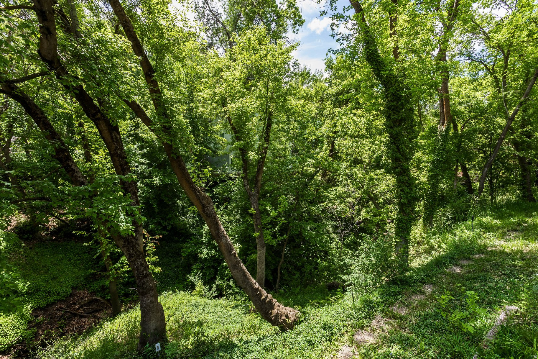 main property photo 62