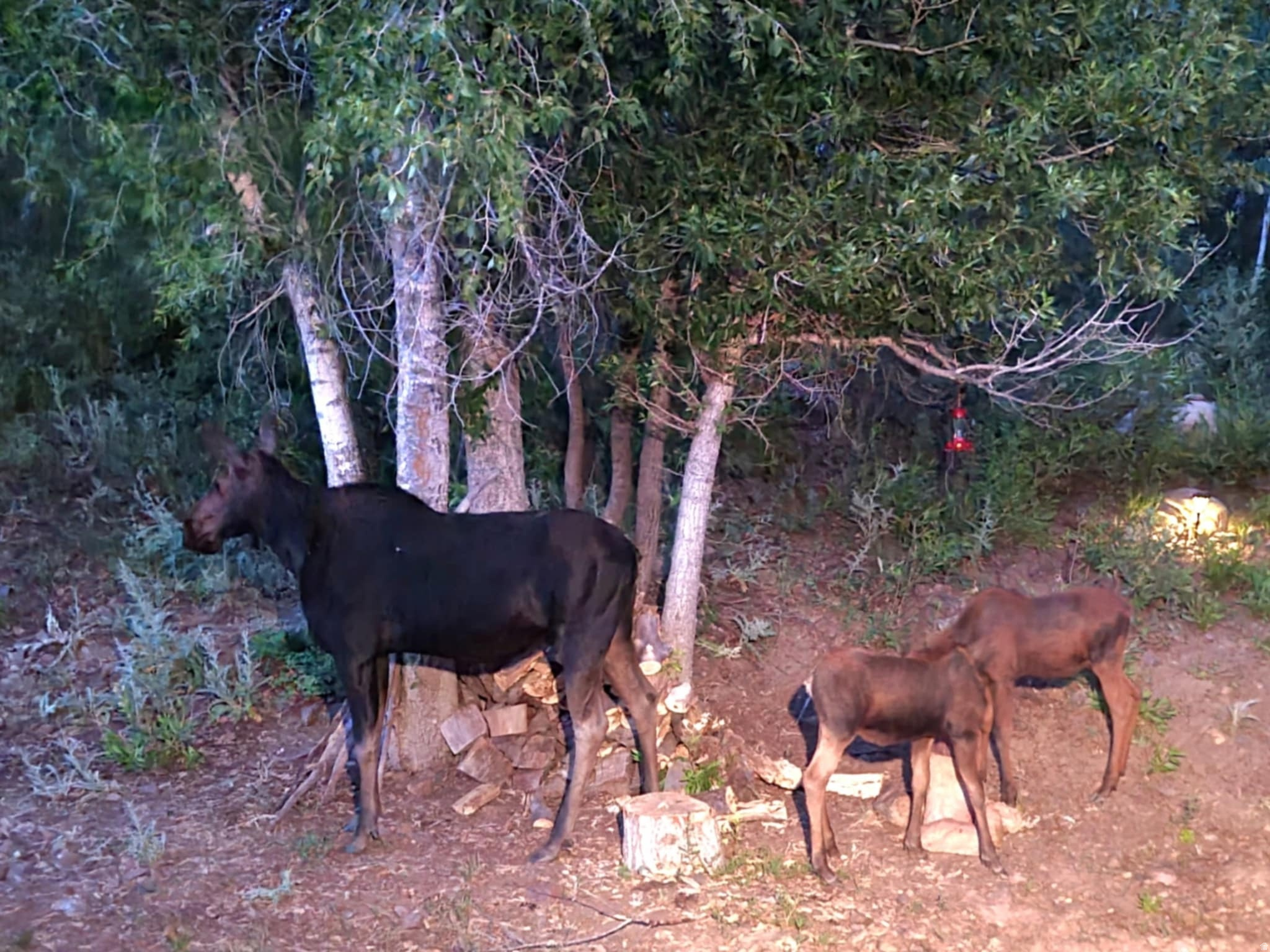main property photo 5