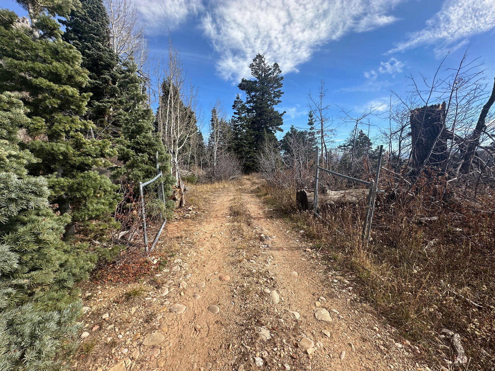 main property photo 13