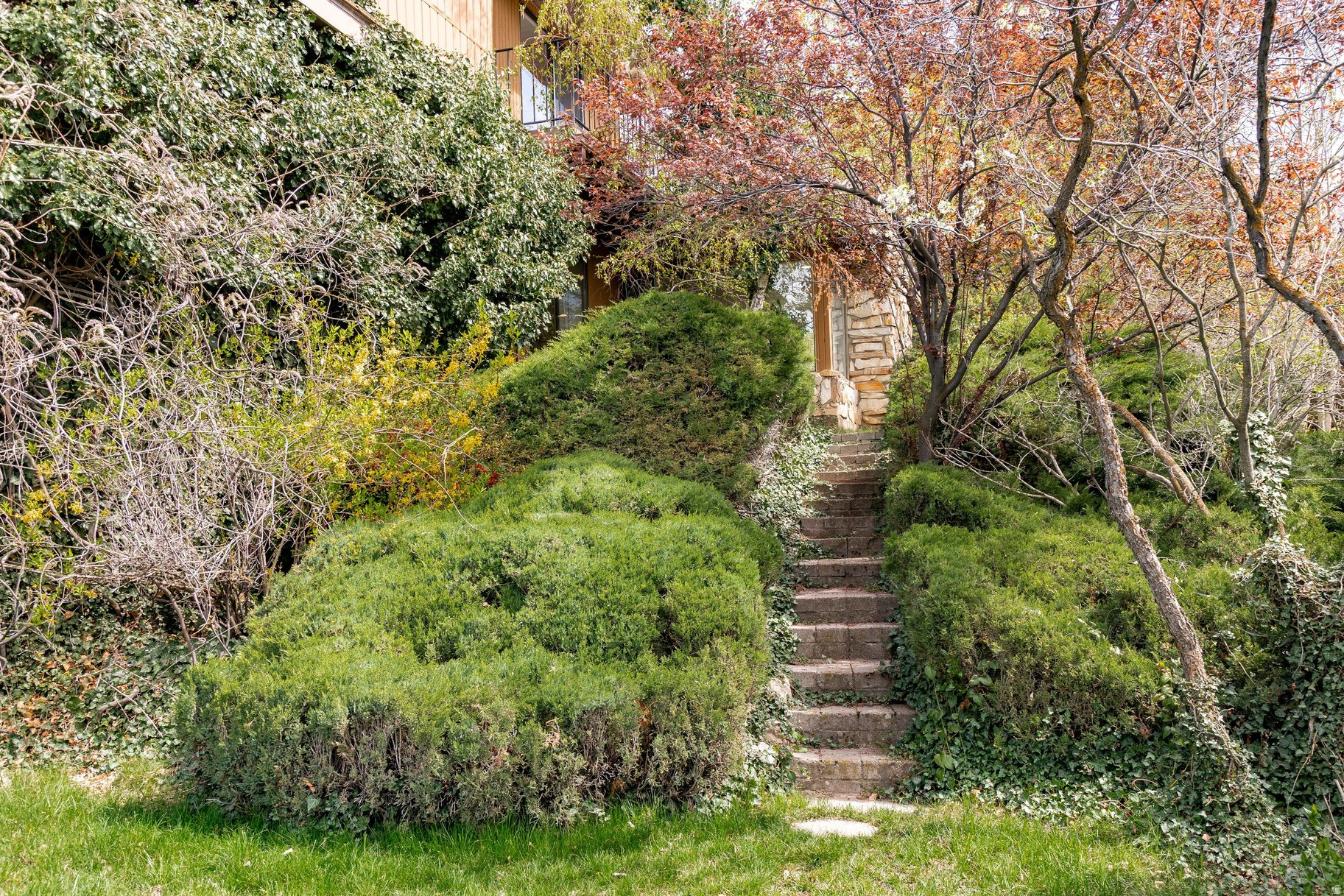 main property photo 53