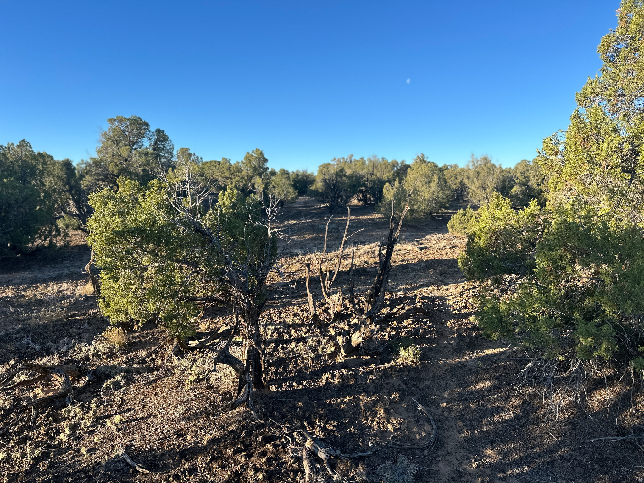 main property photo 11