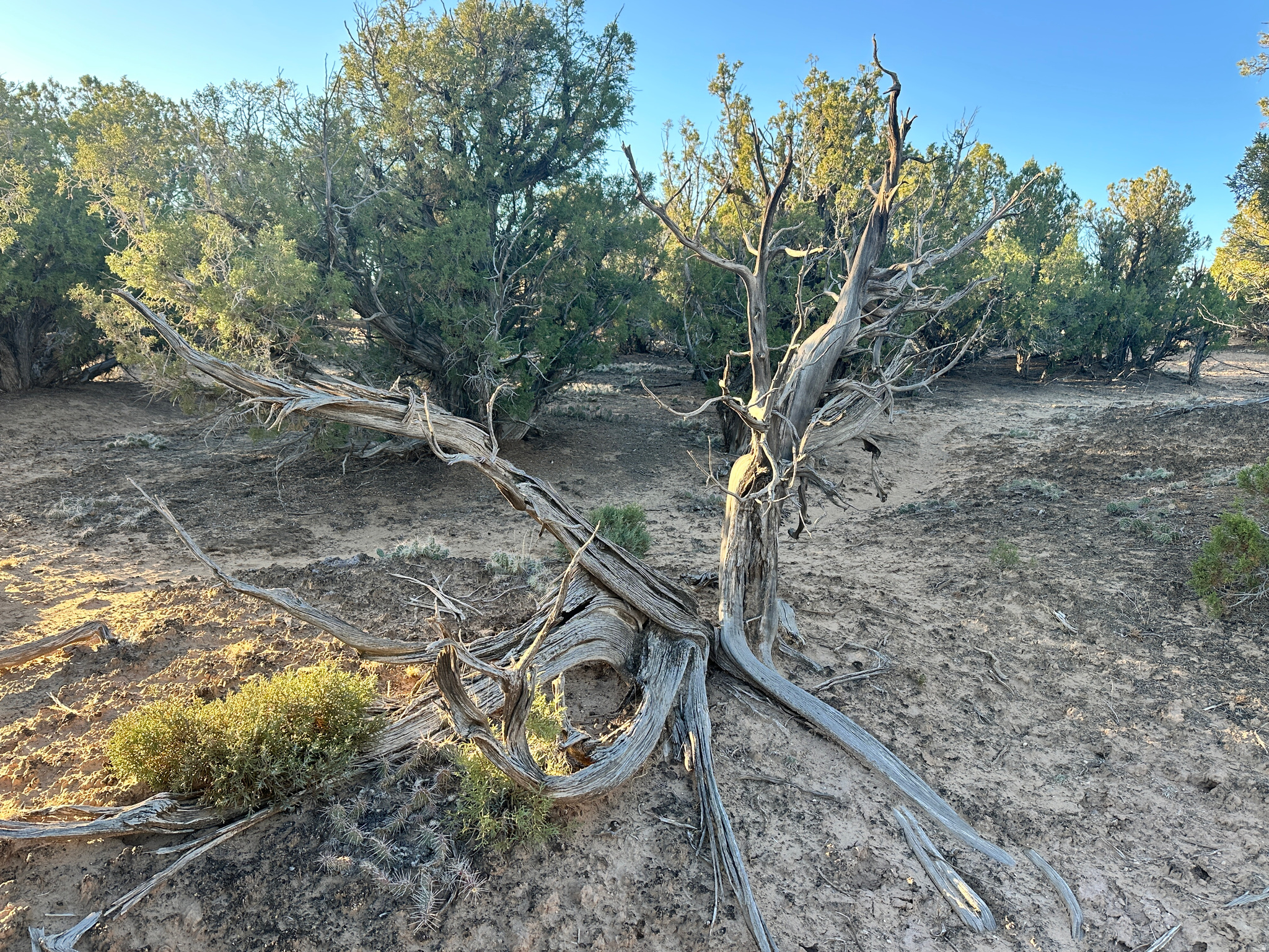 main property photo 13