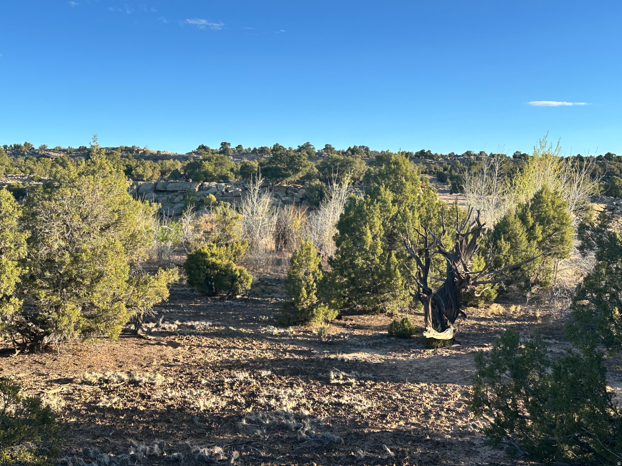 main property photo 14