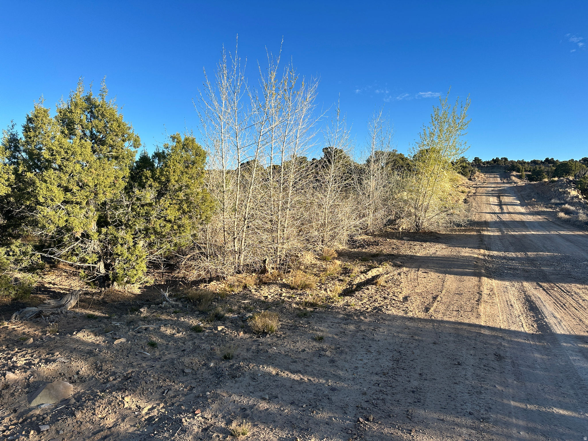 main property photo 17