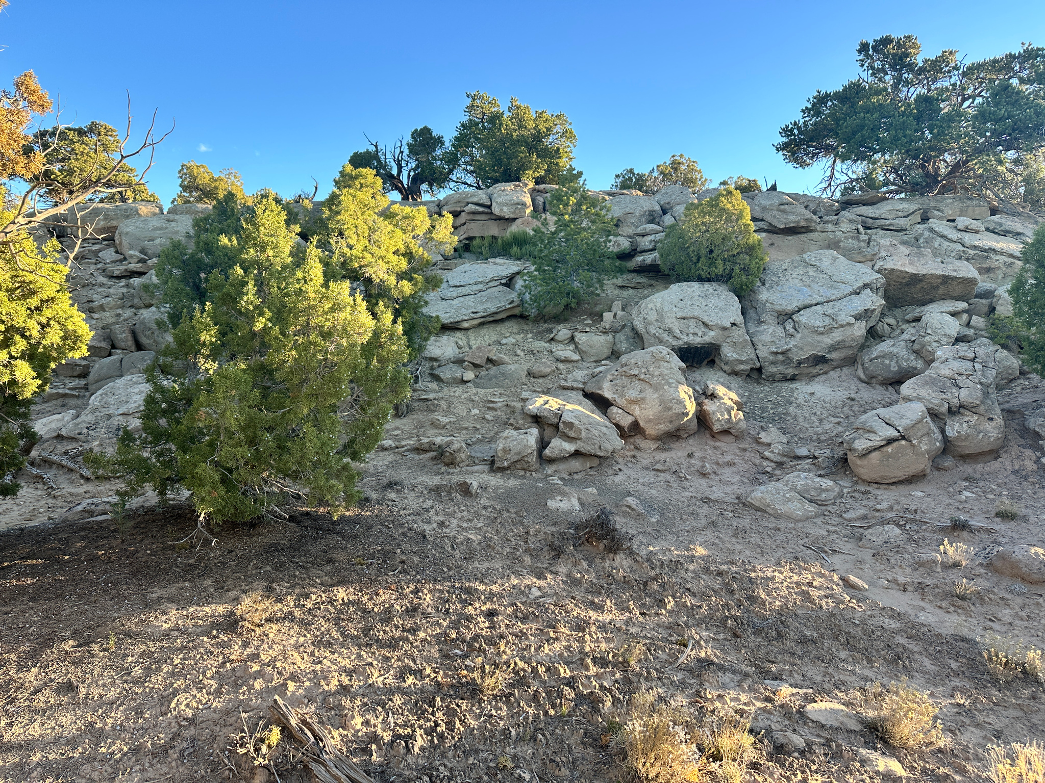 main property photo 9