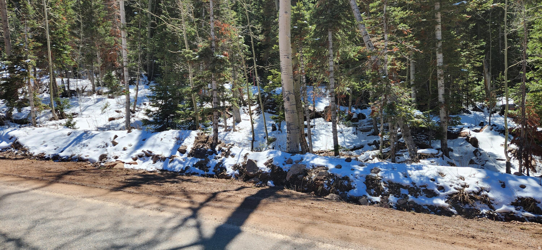 main property photo 0