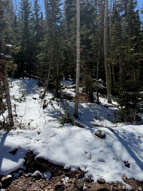 main property photo 7