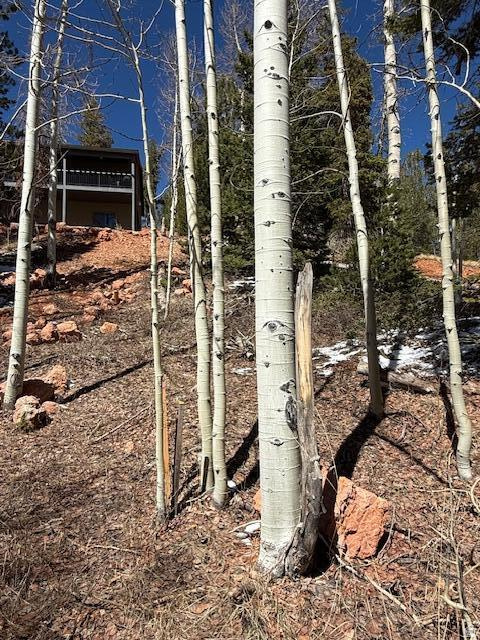 main property photo 9