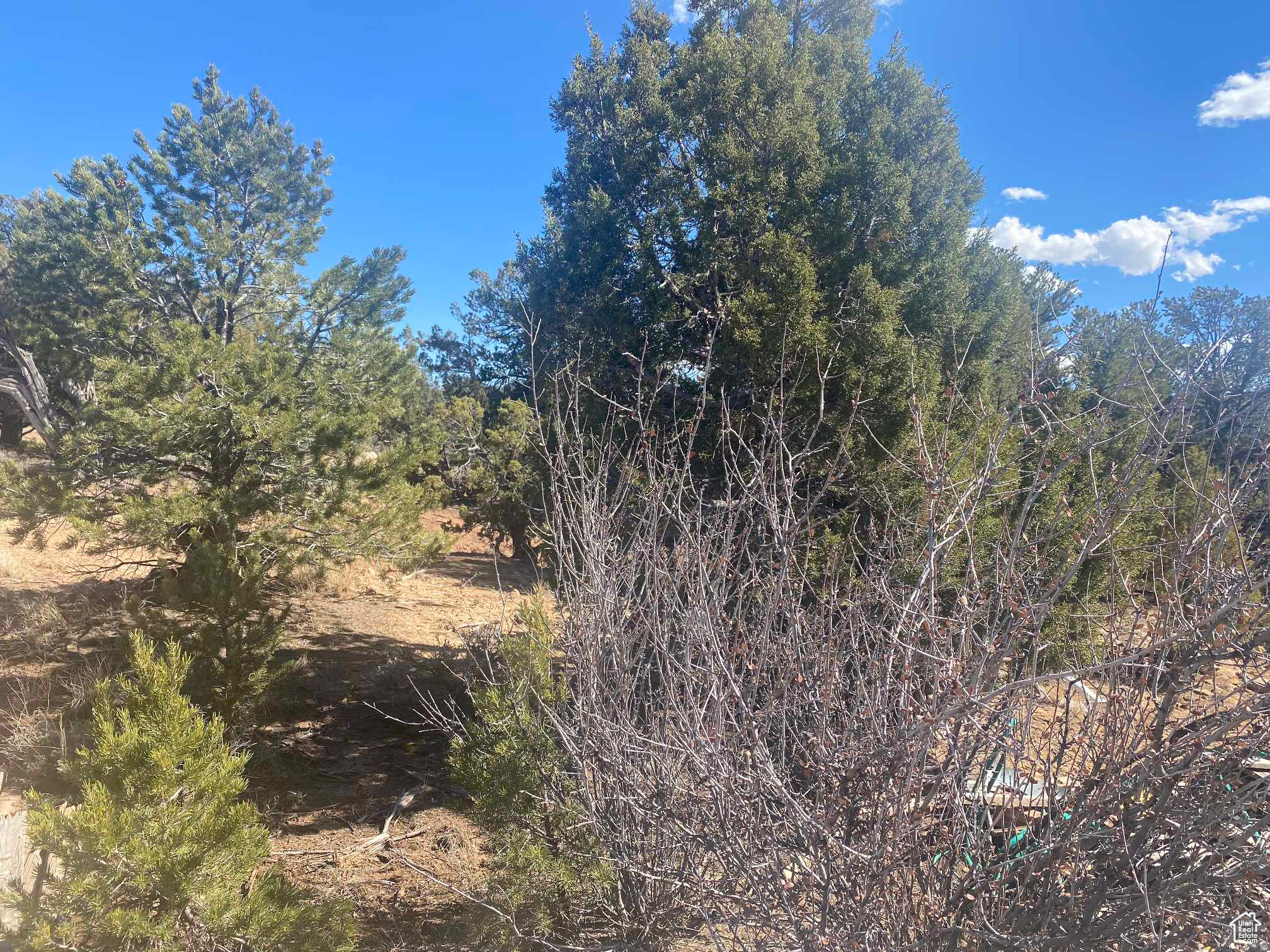 main property photo 53