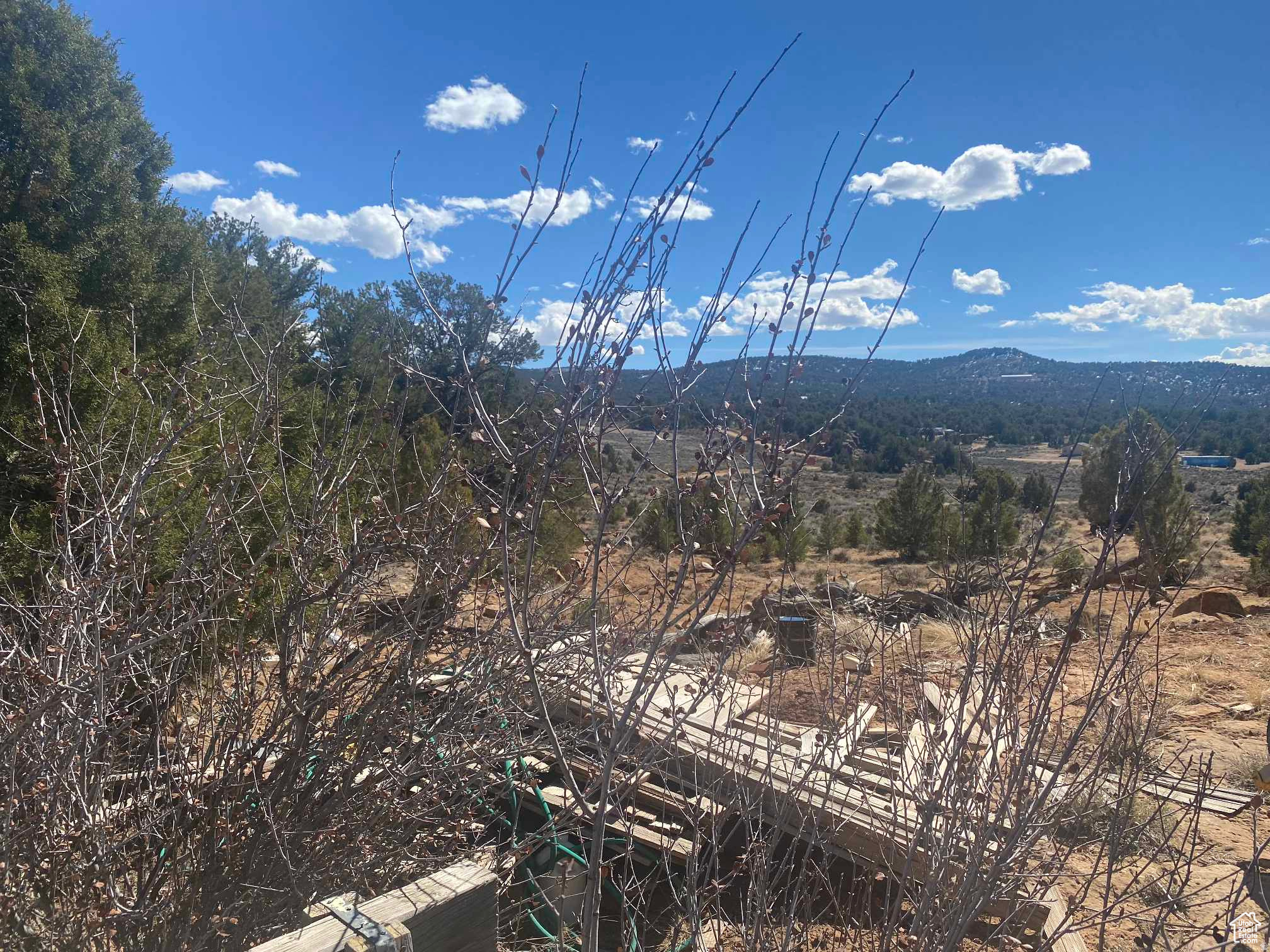 main property photo 54