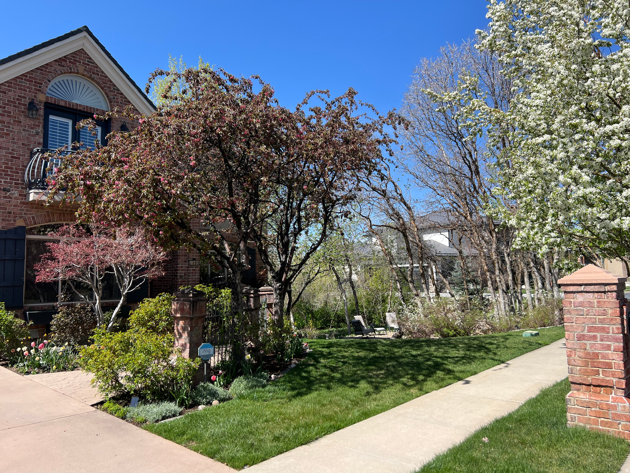 main property photo 101