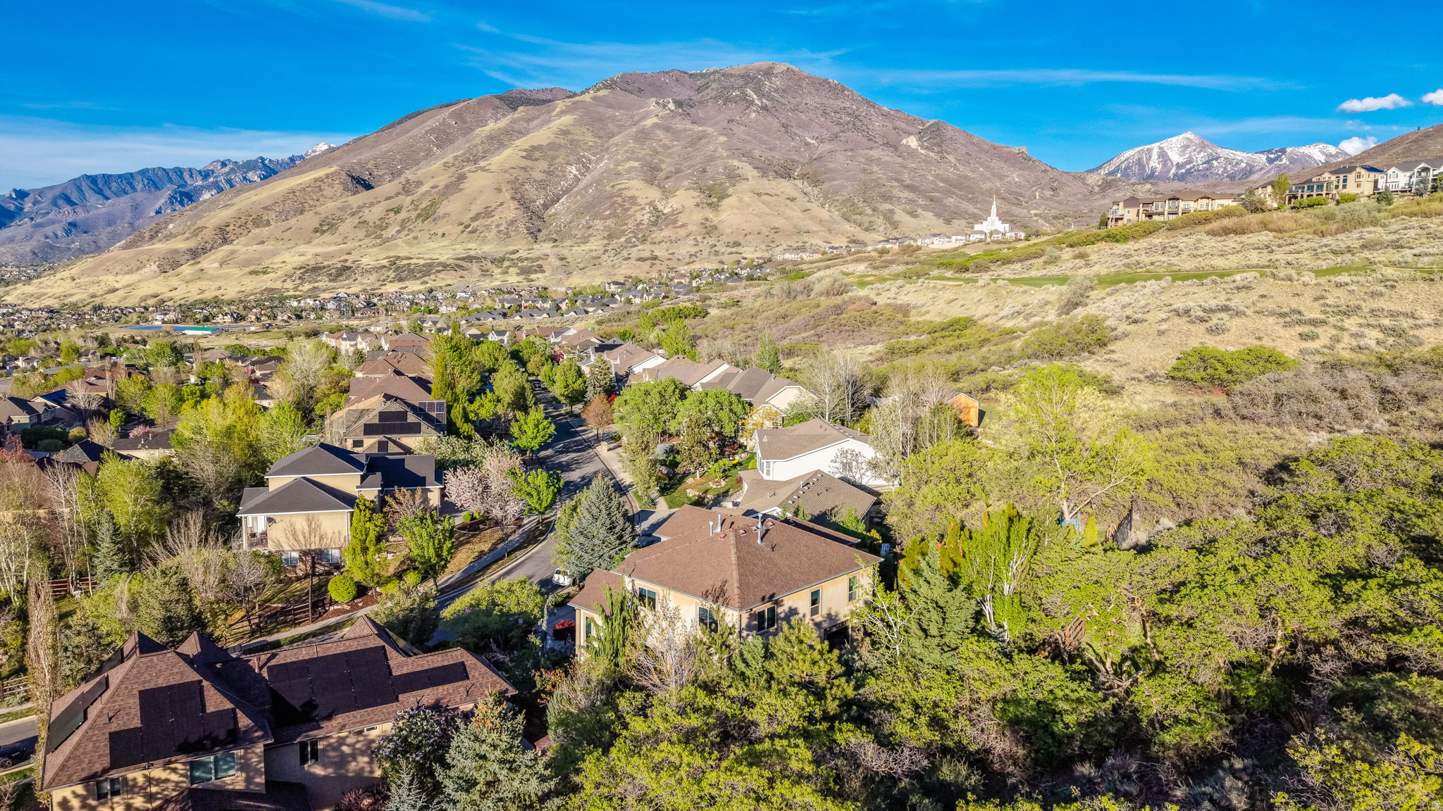 main property photo 56
