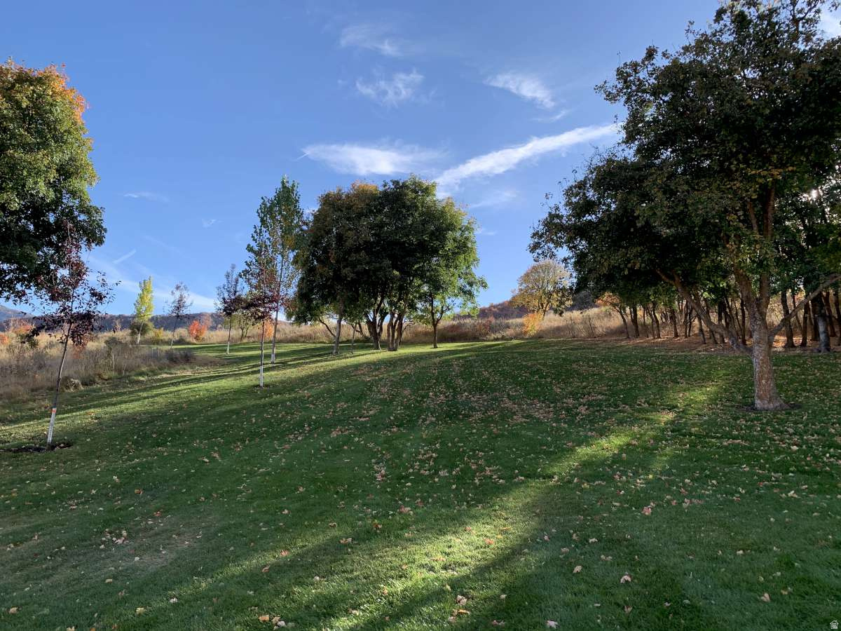main property photo 46