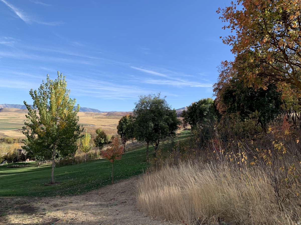 main property photo 48