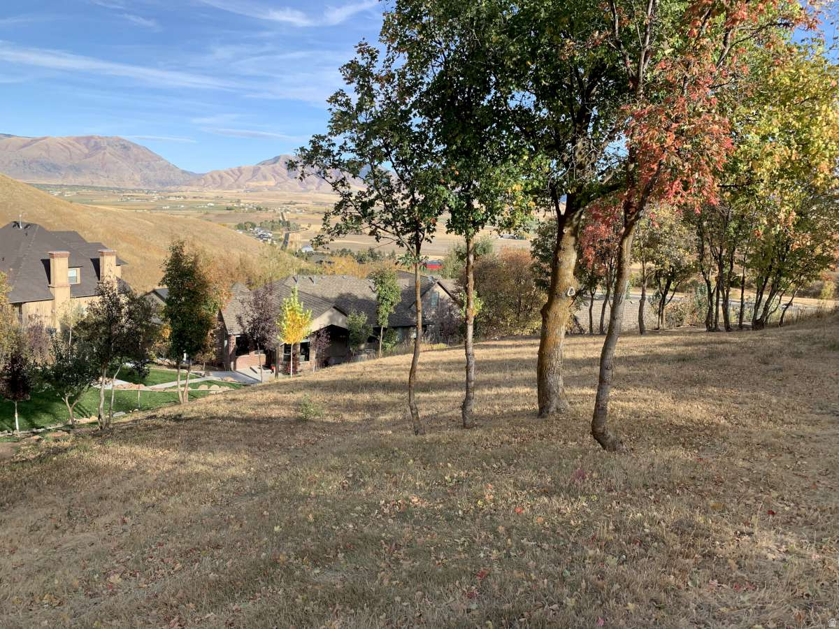 main property photo 51