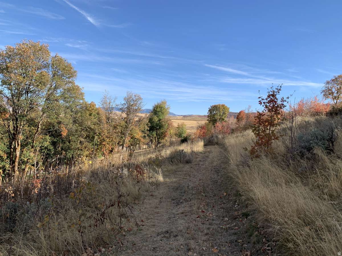 main property photo 55
