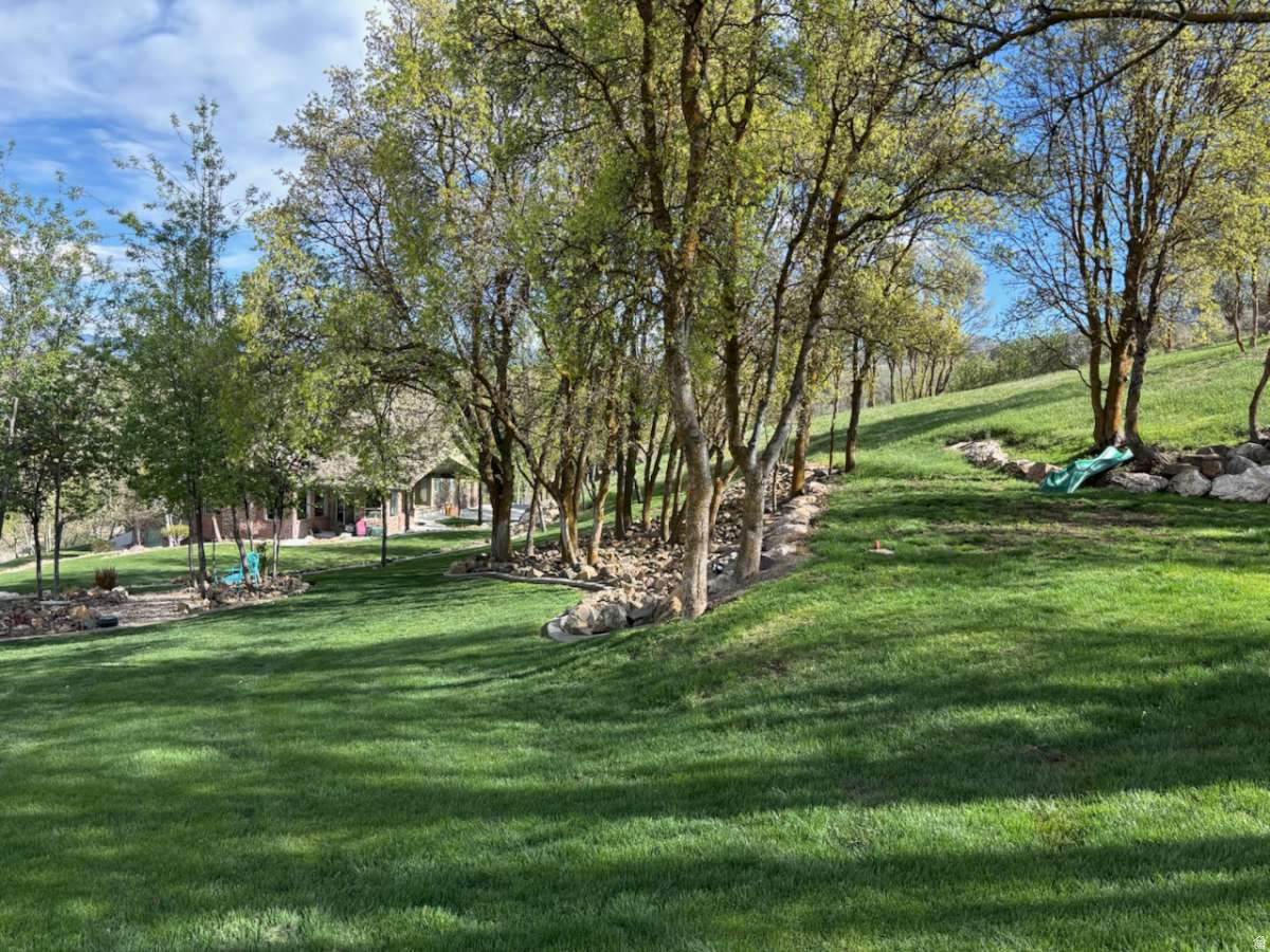 main property photo 56