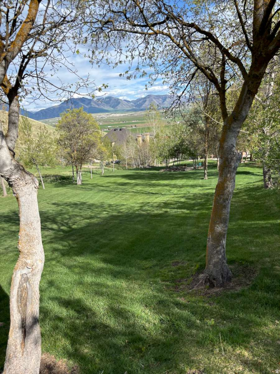 main property photo 57