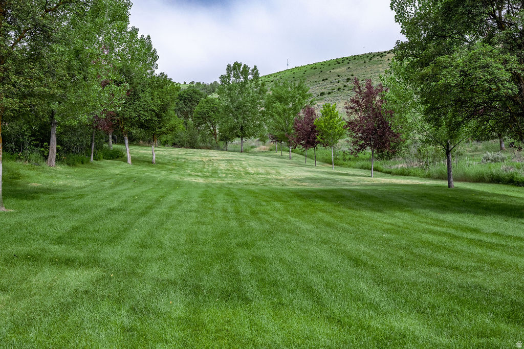 main property photo 63