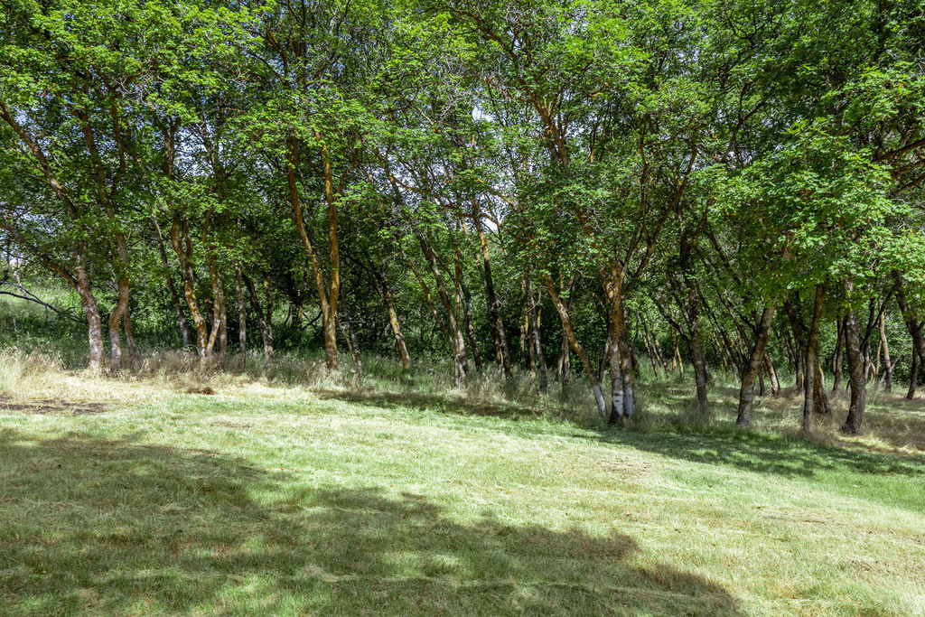 main property photo 70