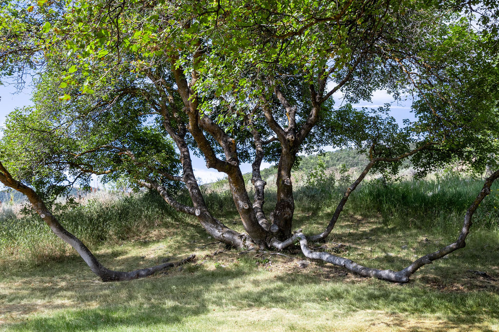 main property photo 71
