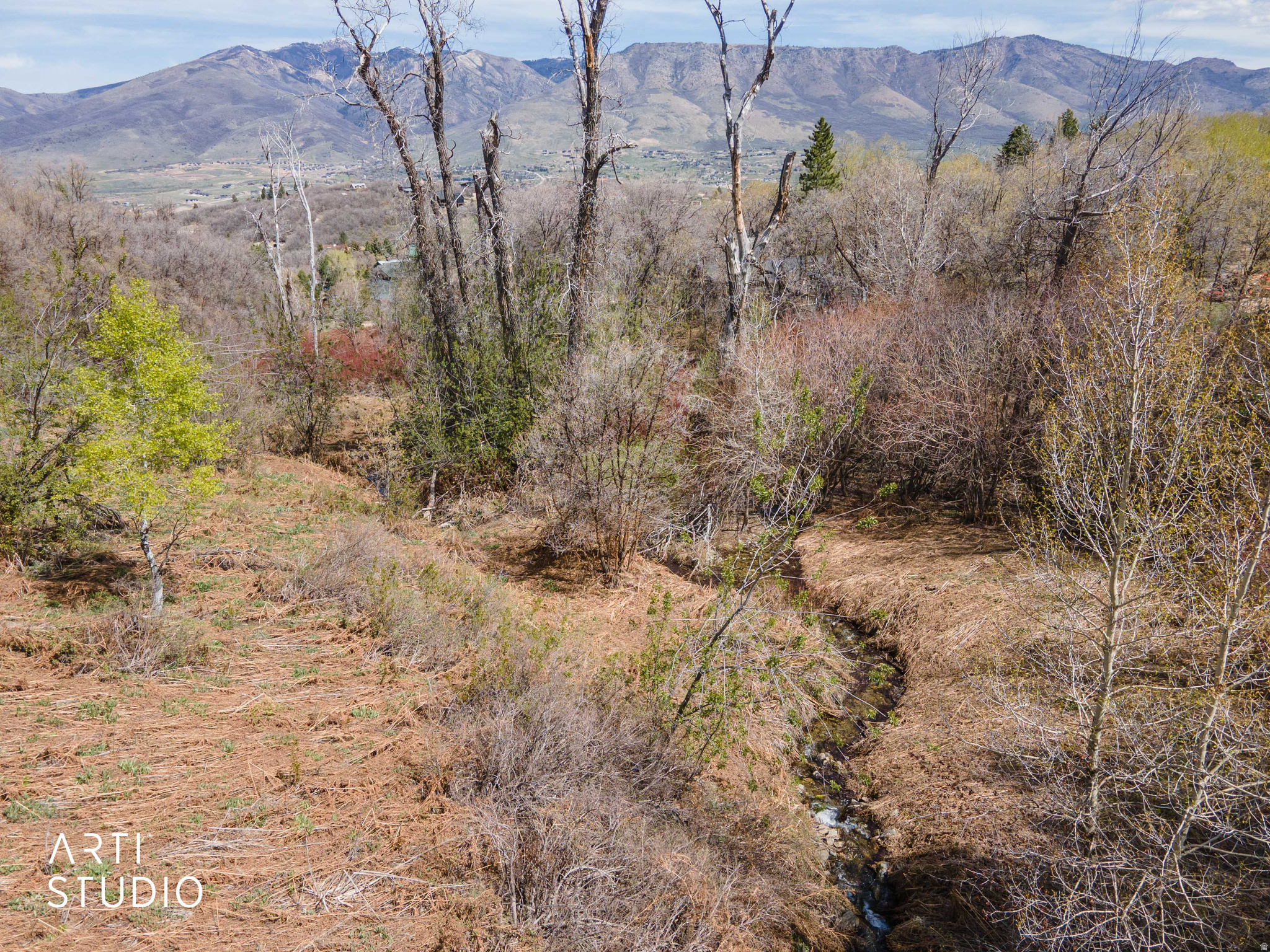 main property photo 0